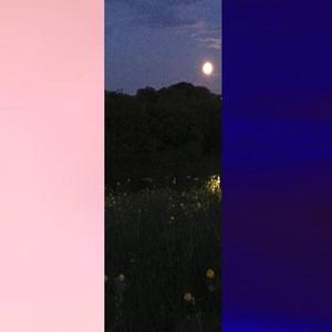 pink clouds // night grass // 7am