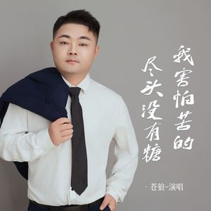 我害怕苦的尽头没有糖