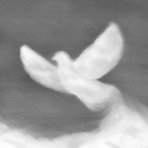 비둘기의 꿈 (Prod. dBu)