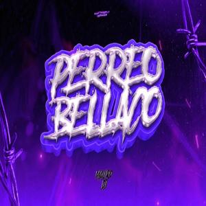 PERREO BELLACO