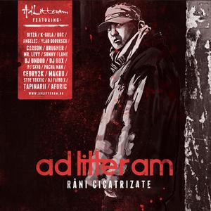 Pe forțele mele (feat. Bitza & DOC)