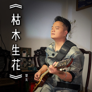 枯木生花
