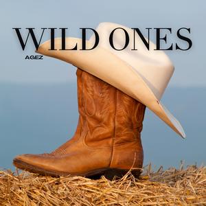Wild Ones (Radio Edit)