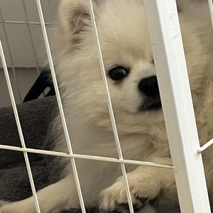 和你见面，是我疲惫生活里的唯一解药