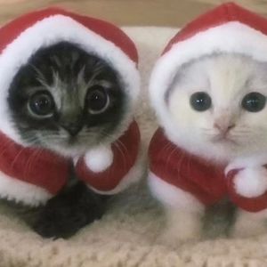 "再见" SASIOVERLXRD × 痛苦旋律孟菲斯 Type Beat