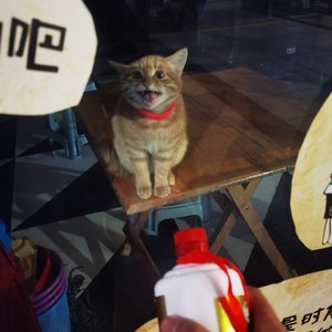 路明非之孤独宿命