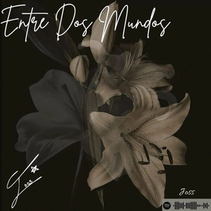 Entre Dos Mundos
