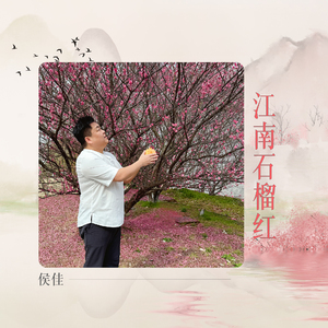 江南石榴红