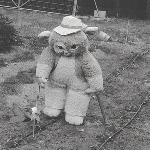 Animal Crossing: wild world