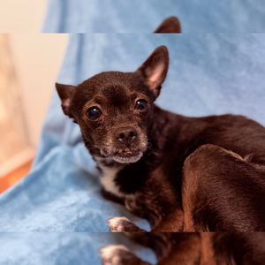 я просто следак