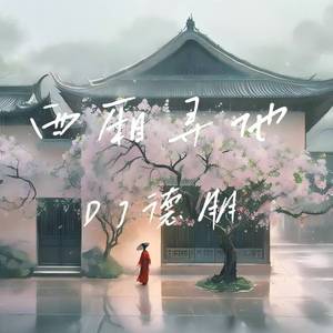 西厢寻他（DJ德朋版）0.8