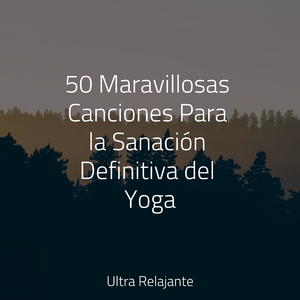 Evolución Armoniosa