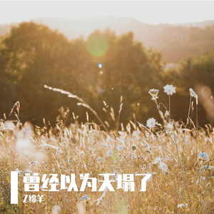 曾经以为天塌了