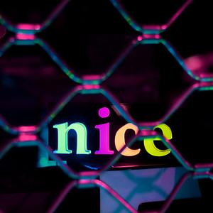 Nice莱斯
