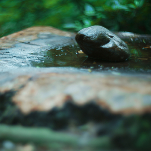 くちぶえのすゝめ