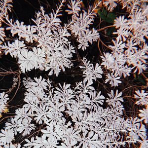 My peace (feat. ミヤザキソラ)