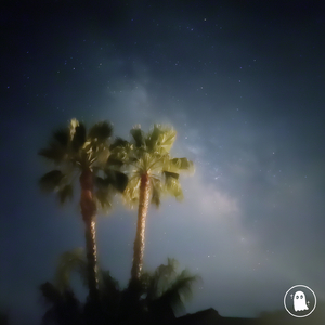 nights away