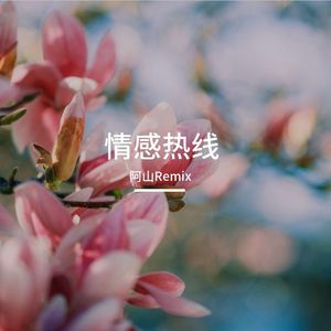 月光痴心醉  阿山原创2026原版