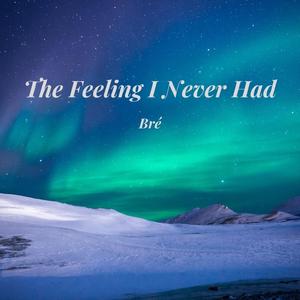The Feeling I Never Had