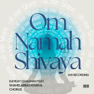 Om Namah Shivaya (feat. Shahid Abbas Khan)