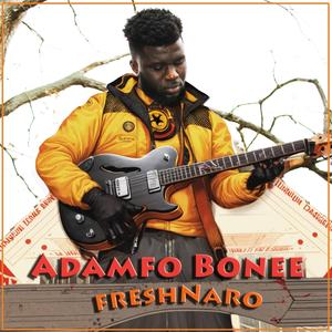 Adanfo bonee
