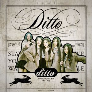 Ditto（翻自newjeans）