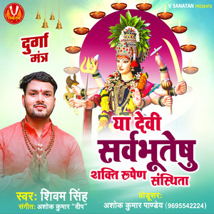 Ya Devi Sarvabhuteshu Shakti Rupen Sansthita