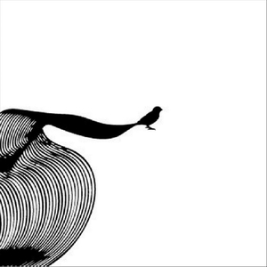 Chronosynclastic Infundibula