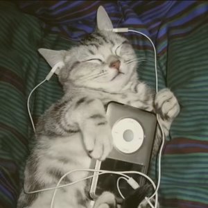 झिम्झिमाउने आँखा