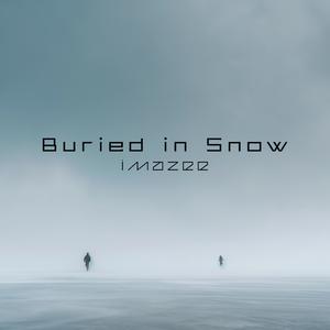 Buried in Snow