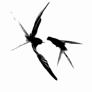 Moonquake月震（Prod By 百川）