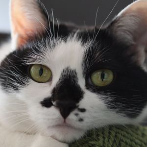 [心华中文翻填]多么美好的六月啊（COVER 25時、ナイトコードで。)