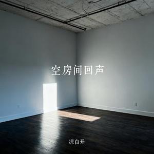 空房间回声