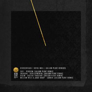 Digital Fracture (Callum Plant Remix)