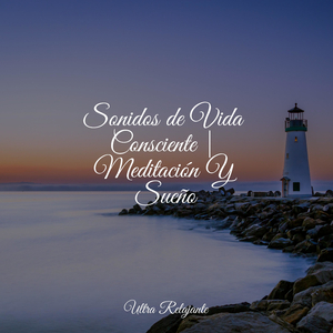 Anochecer En La Distancia