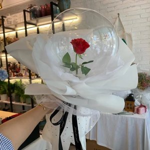 AdaxT'im（伴奏版）