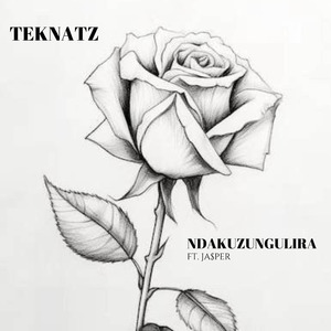 Ndakuzungulira