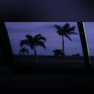 Waving Trees