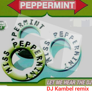 Let Me Hear The Dj (Remix)