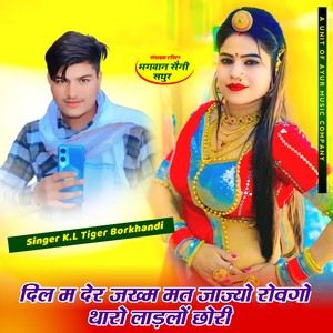 Dil M Der Jakm Mat Jajyo Rovgo Tharo Ladlo Chori