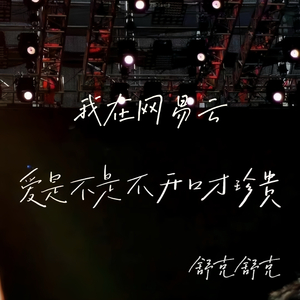 我在网易云