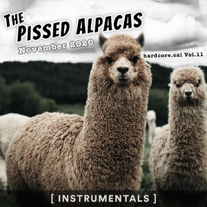 November 9, 2020: Chaos Never Dies Day (Instrumental)