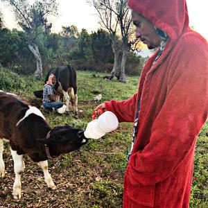 Çökertmeden Çıkma Emin'im