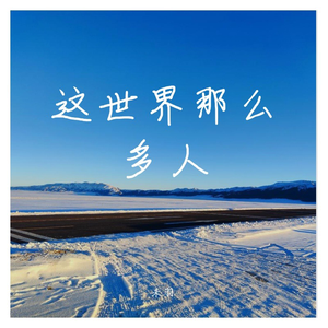 林志炫-这世界那么多人（未羽 remix）