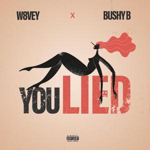 You lied (feat. Bushy B)