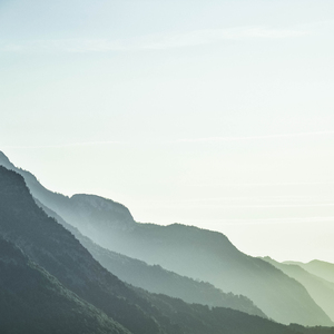 La Vida en Los Trópicos