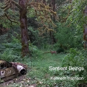 Helicopter Landings in the Wilderness