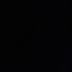 THE AMAZING WORLD OF FRAY