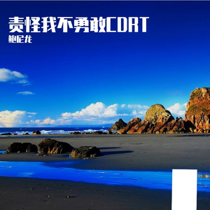 责怪我不勇敢CDRT