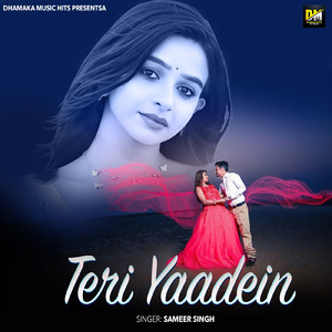 Teri Yaadein